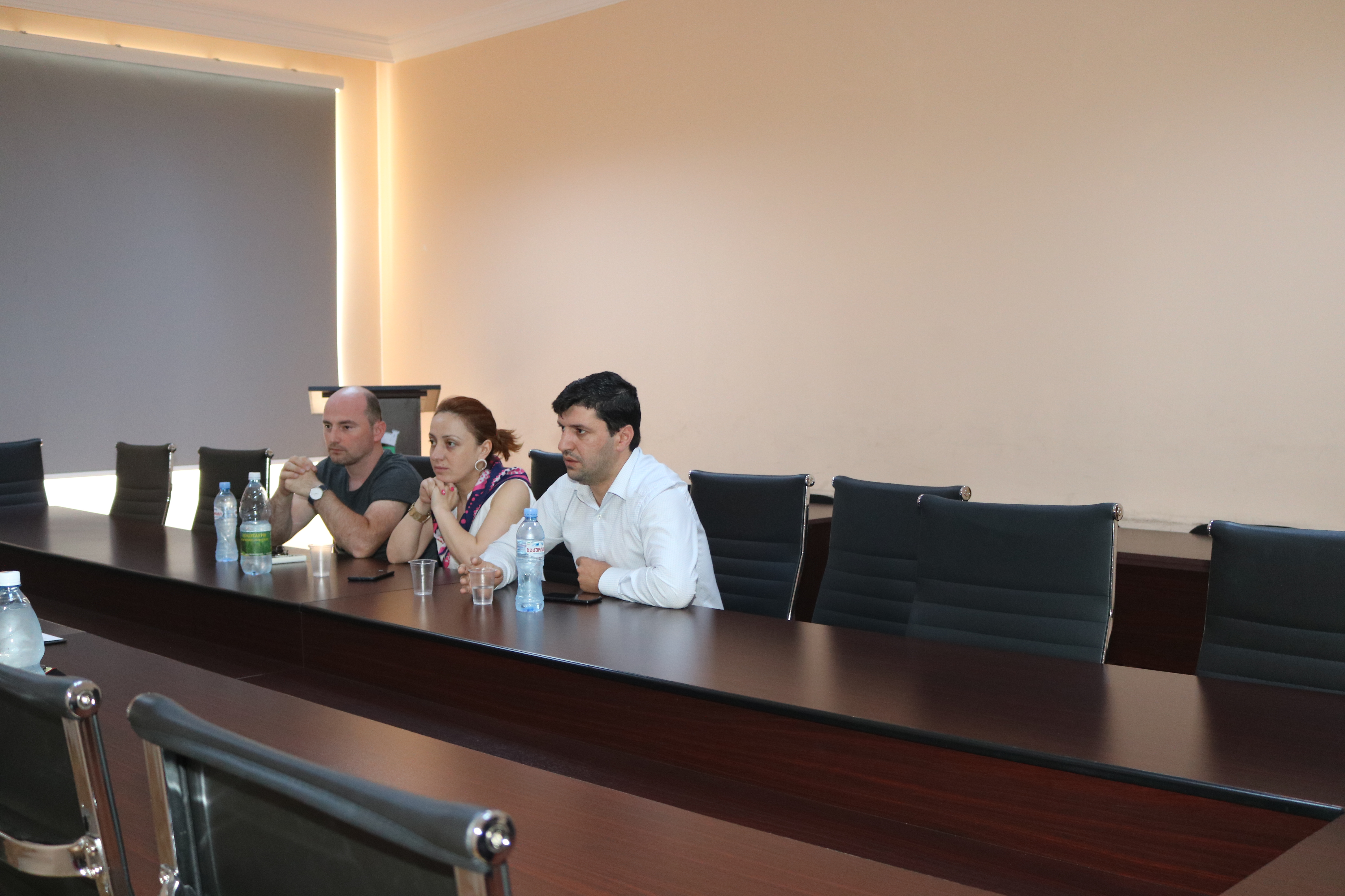 იაპონიის საელჩოს წარმომადგენლების შეხვედრა