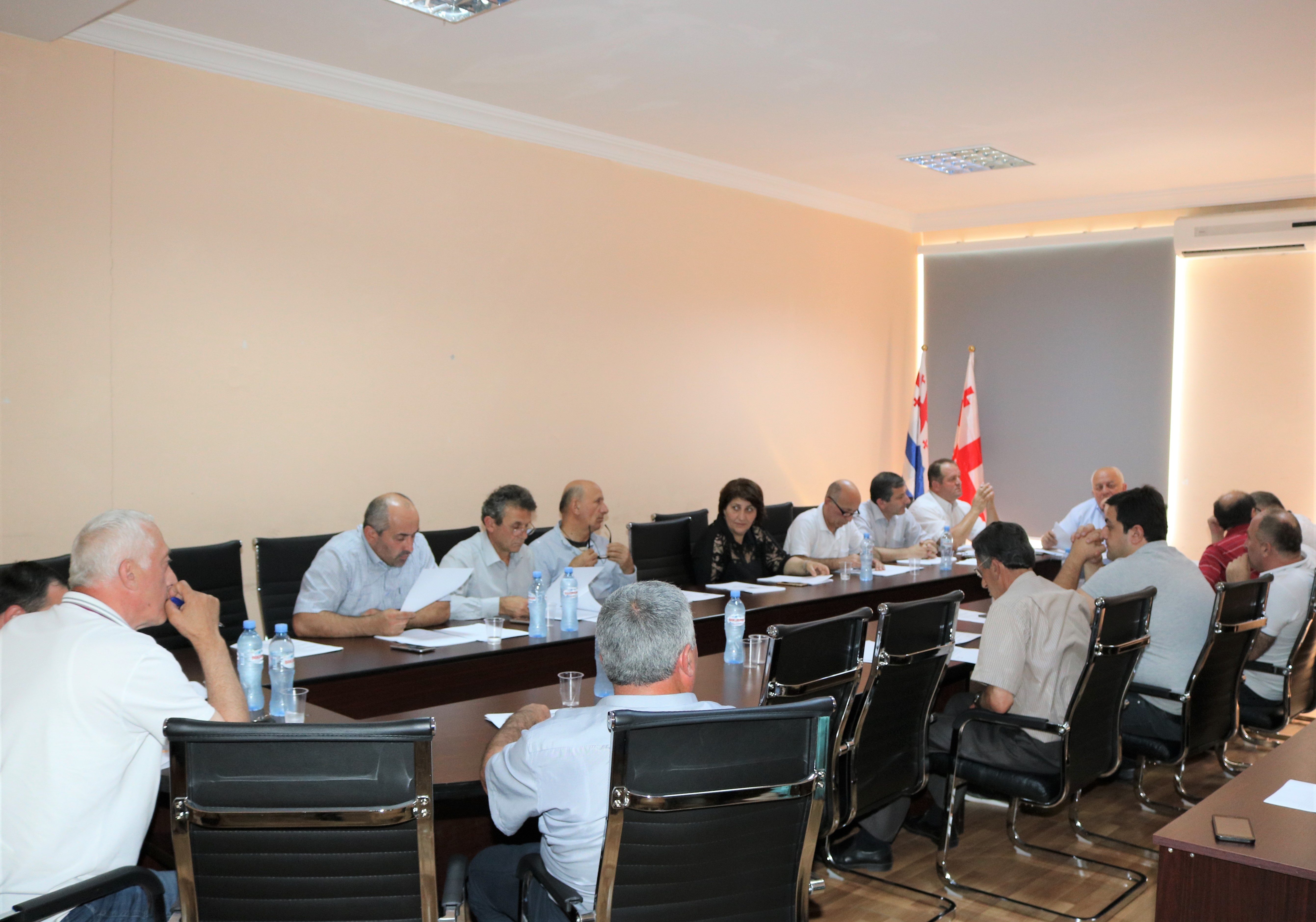 ქედის მუნიციპალიტეტის საკრებულოს №01-06/09 რიგგარეშე სხდომაზე დღის წერიგით გათვალისწინებული ხუთი საკითხი განიხილეს