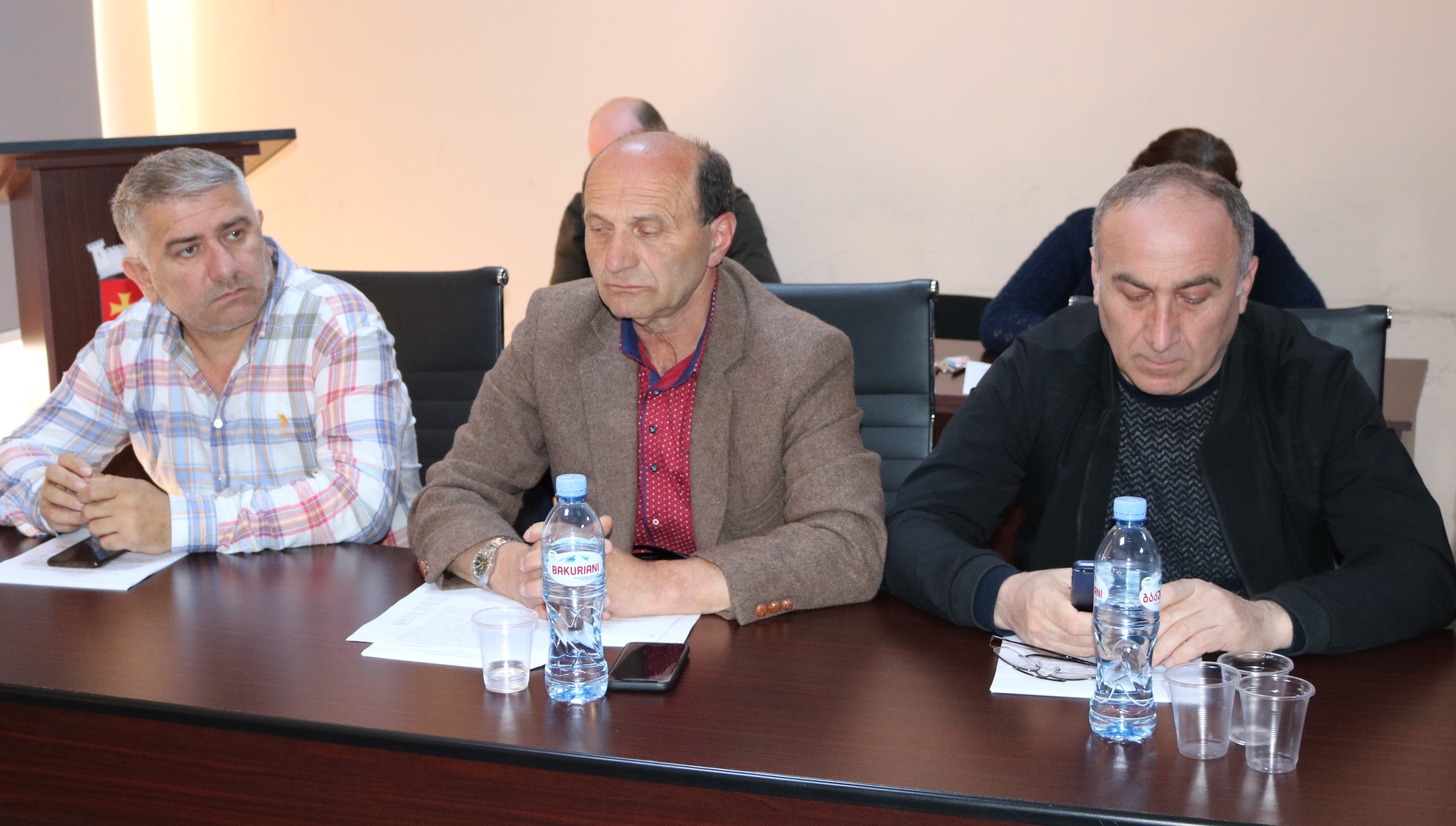 საკრებულომ ქედის მუნიციპალიტეტის ტერიტორიაზე სოფლის მხარდაჭერის პროგრამის ფარგლებში 2019 წელში განსახორციელებელი ღონისძიებები დაამტკიცა