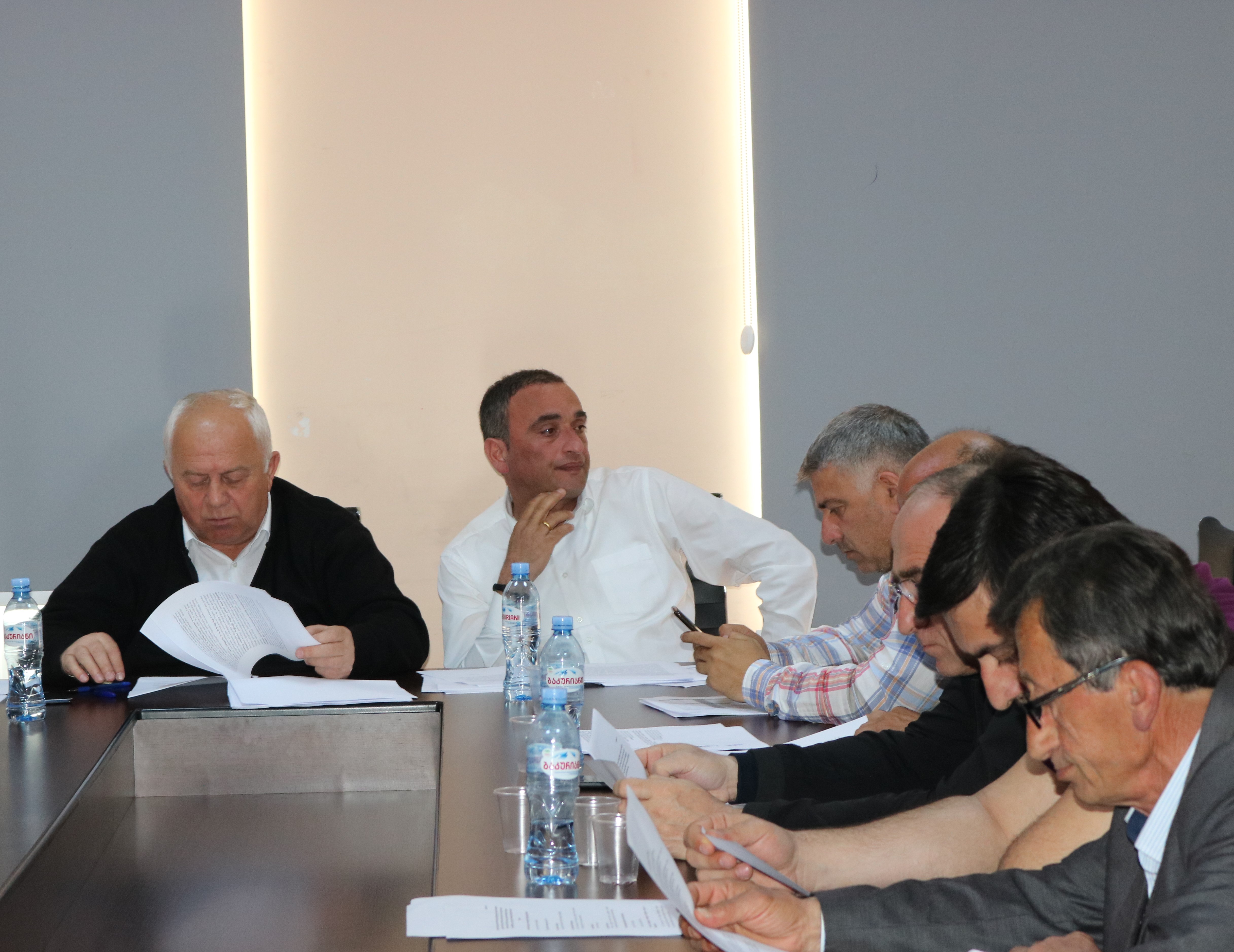 საკრებულომ ქედის მუნიციპალიტეტის ტერიტორიაზე სოფლის მხარდაჭერის პროგრამის ფარგლებში 2019 წელში განსახორციელებელი ღონისძიებები დაამტკიცა