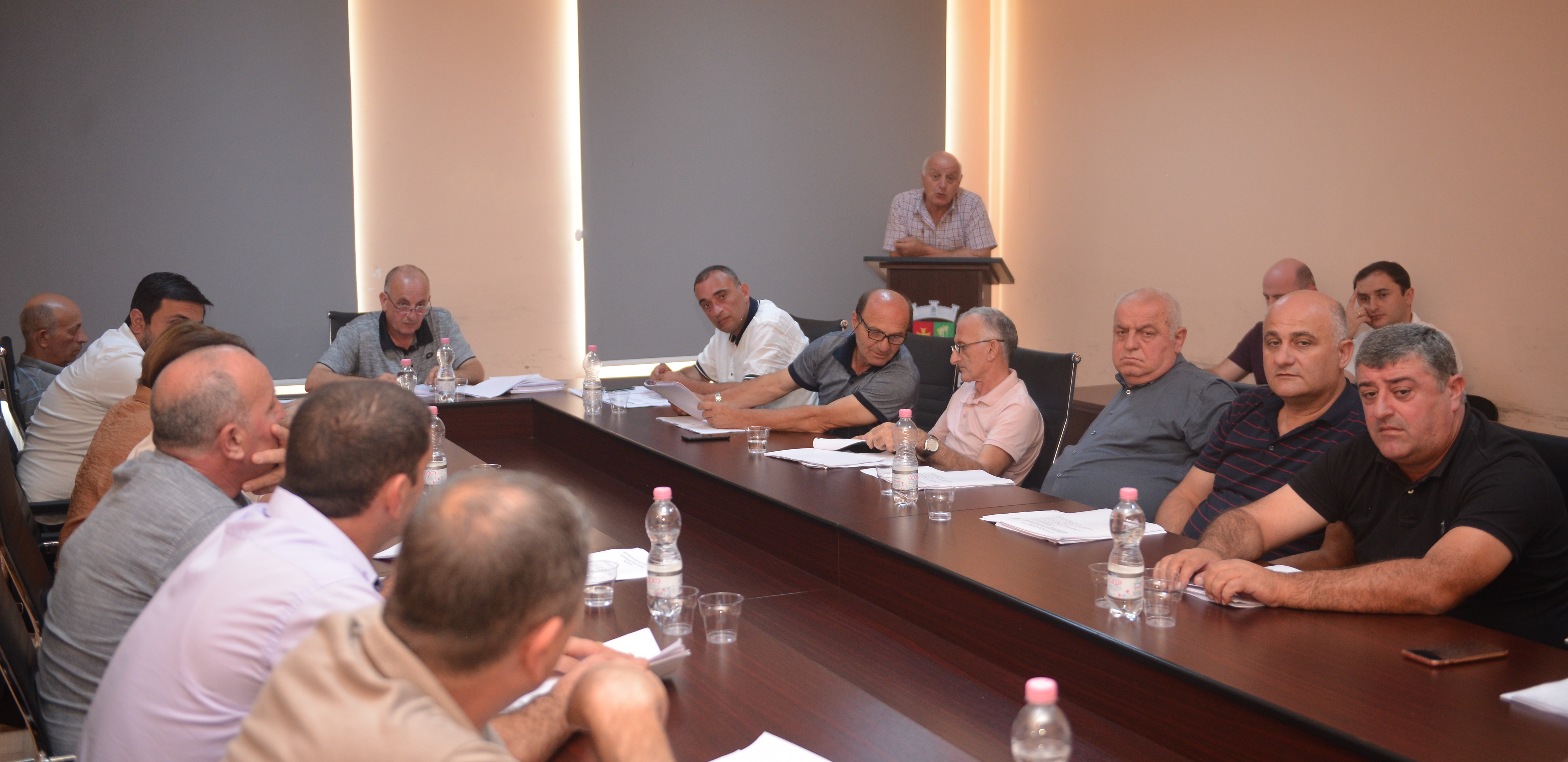 საკრებულოს მორიგ სხდომაზე სამი საკითხი განიხილეს