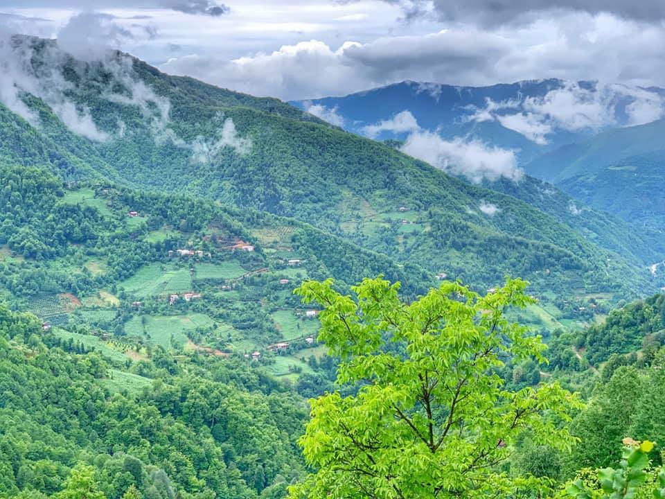 მაღალმთიან დასახლებაში მცხოვრებთა სტატუსის მართვის საბჭოს მორიგი სხდომა