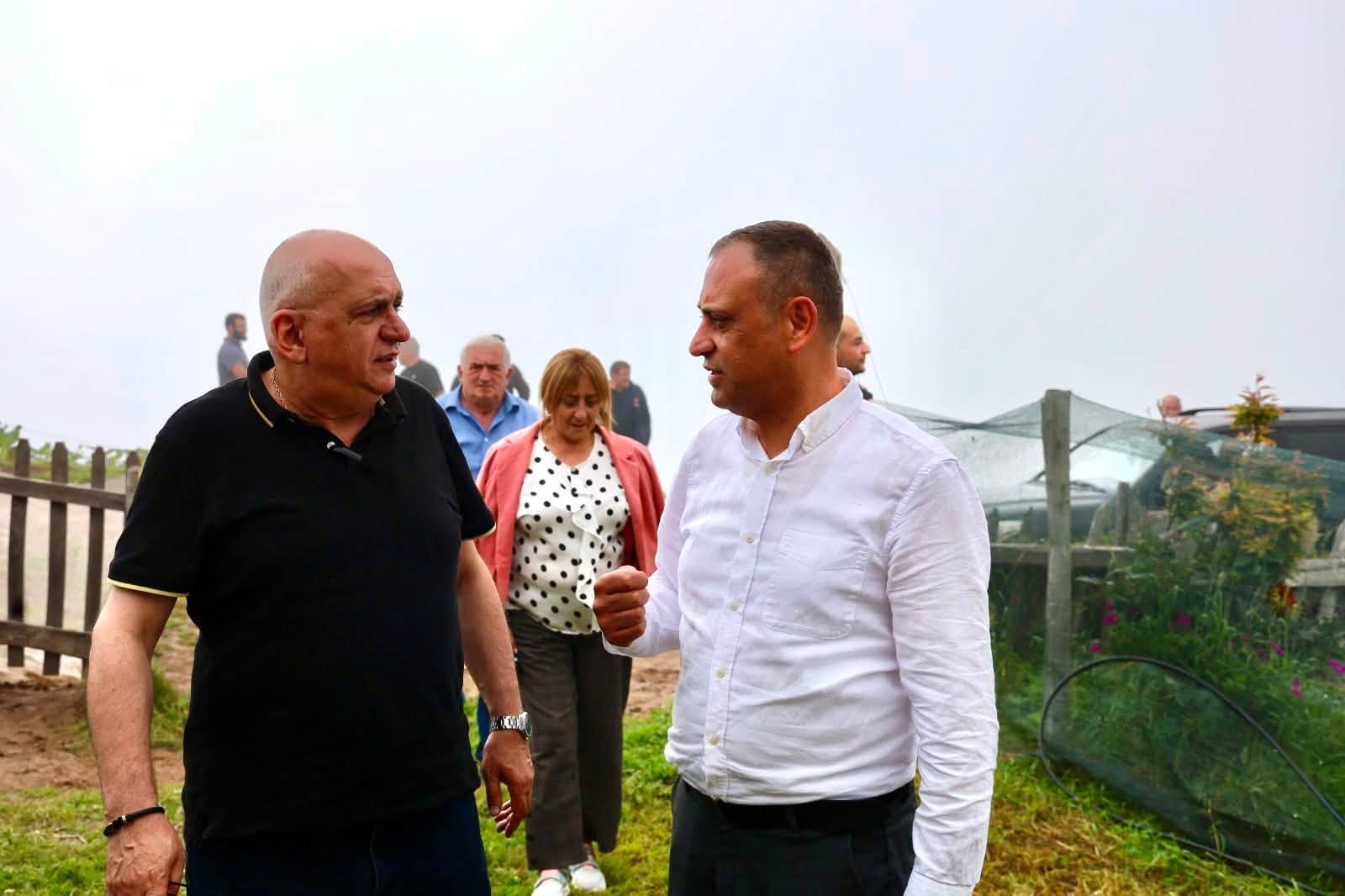 ქედის მუნიციპალიტეტში, სასადილოსა და კოსლითავის მთაში მემთეურებისთვის  უფასო სამედიცინო კვლევების აქცია ჩატარდა